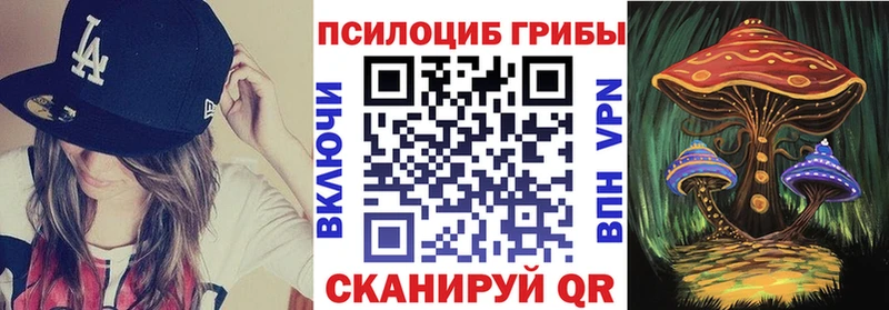 Галлюциногенные грибы GOLDEN TEACHER  купить  цена  мега ссылки  Тайга 